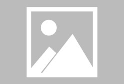 开云官方在线-关于AC米兰引进巴西新秀，欧冠佳绩在望的信息