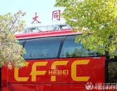 开云体育app-河北华夏主场力克大连一方，保持主场优势()  第2张